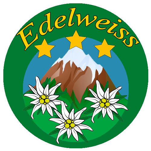 Hotel Edelweiss Predeal